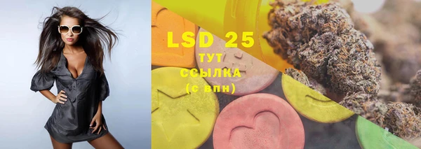 ПСИЛОЦИБИНОВЫЕ ГРИБЫ Балахна