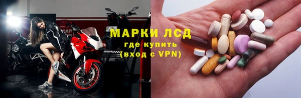 ПСИЛОЦИБИНОВЫЕ ГРИБЫ Балахна