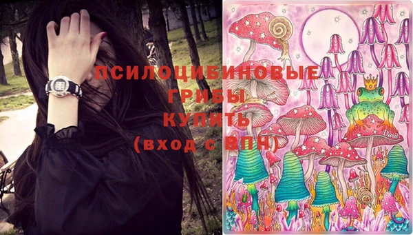 гидра Баксан