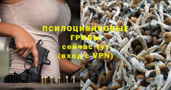 ПСИЛОЦИБИНОВЫЕ ГРИБЫ Балахна