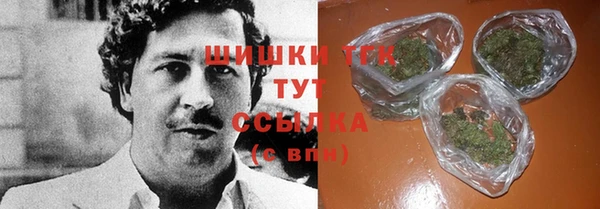 сатива Сосновый Бор