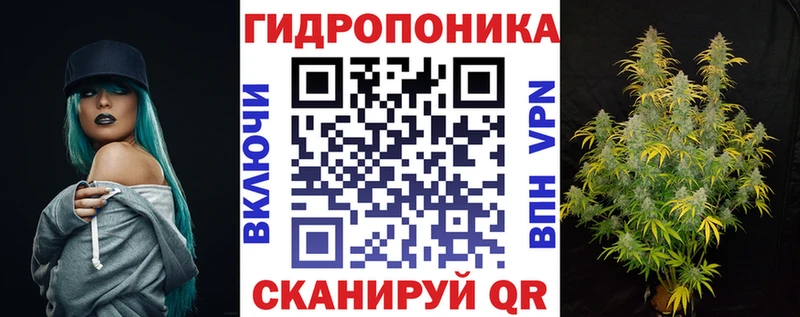 купить сайты Буйнакск Конопля индика